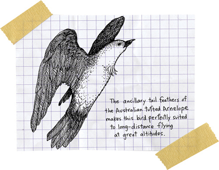 Cartoon from printed page 112 of the novel.